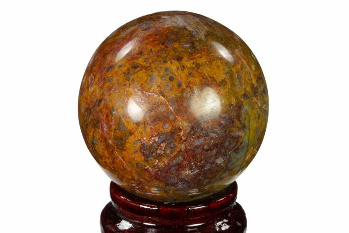 Colorful, Polished Petrified Palm Root Sphere - Indonesia #150128
